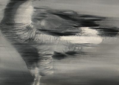 Falke_25x25cm