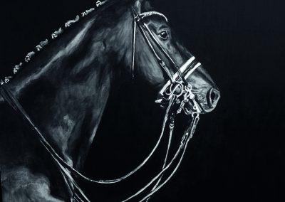 Pferd_60x70cm