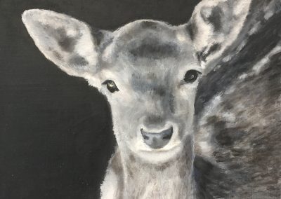Reh_25x25cm