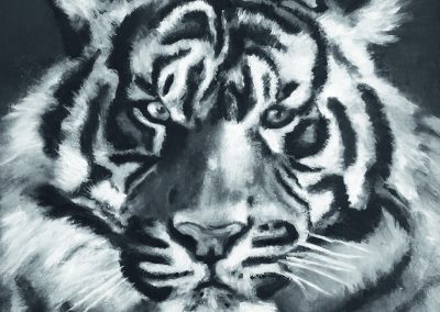 Tiger_25x25cm