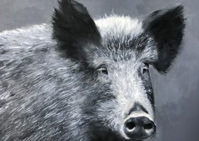 Wldschwein_30x40cm